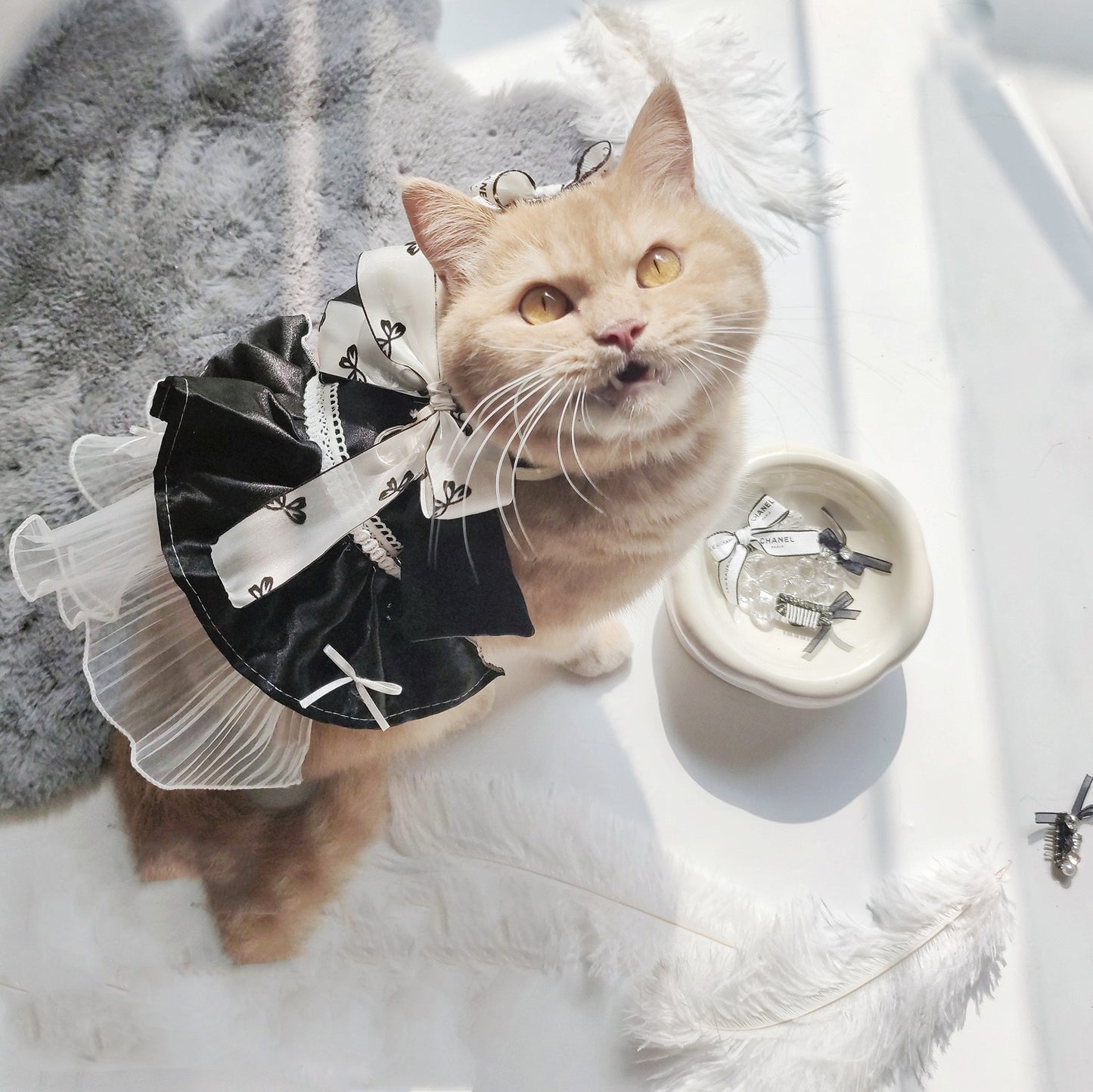 Bowknot Pet Traction Rope Dress