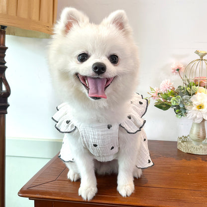 Pet Love Floral Cotton Dress